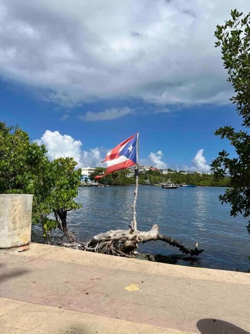 Casa Rosado Villa Marina Fajardo Yunque Seven Seas Esterno foto