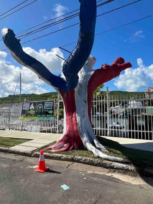 Casa Rosado Villa Marina Fajardo Yunque Seven Seas Esterno foto